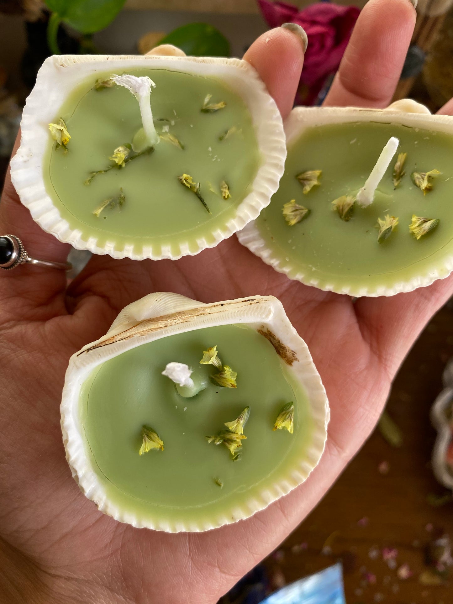 Coconut + Guava Shell Candles