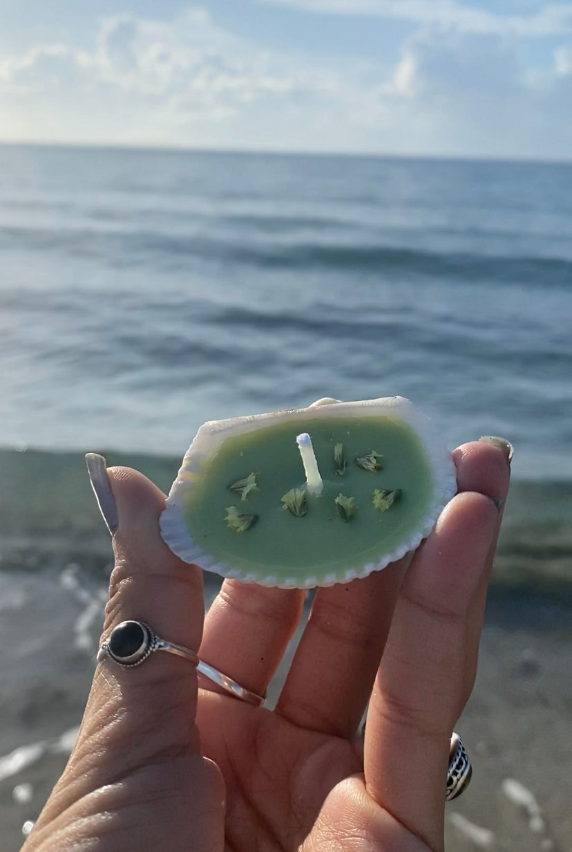 Coconut + Guava Shell Candles