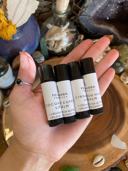 Lip Balms: Coconut Coffee & Cinnamon Mint