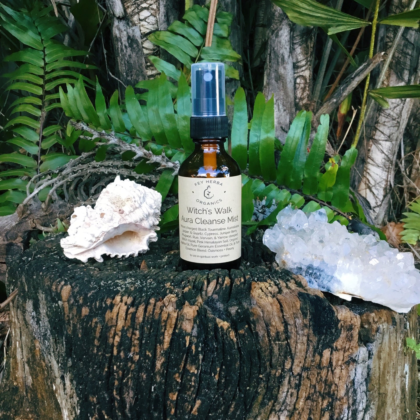 Witch's Walk Aura Mist | Witch's Pot Oil